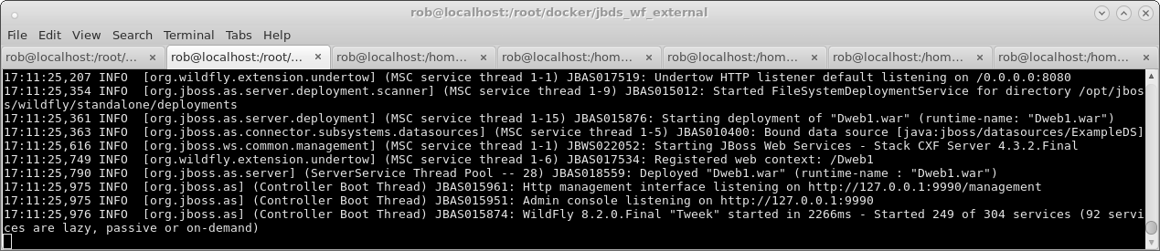 terminal wf docker