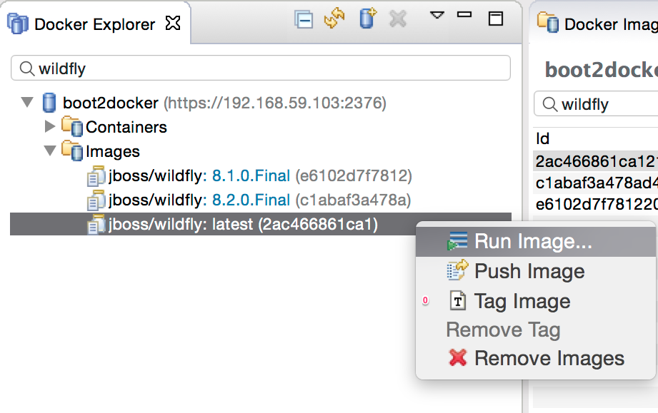 Run Image from Docker Explorer