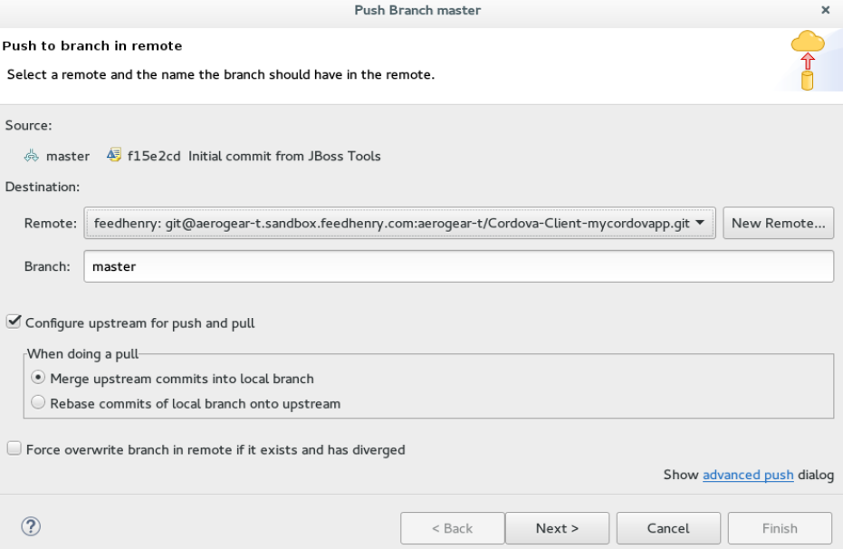 Details of the Push Added in the Push Branch master Window