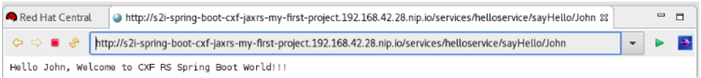 Viewing the s2i-spring-boot-cxf-jaxrs Application in the Web Browser