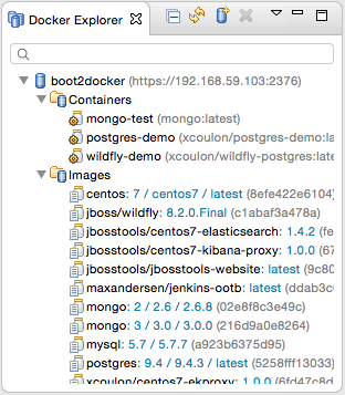 Docker Explorer View